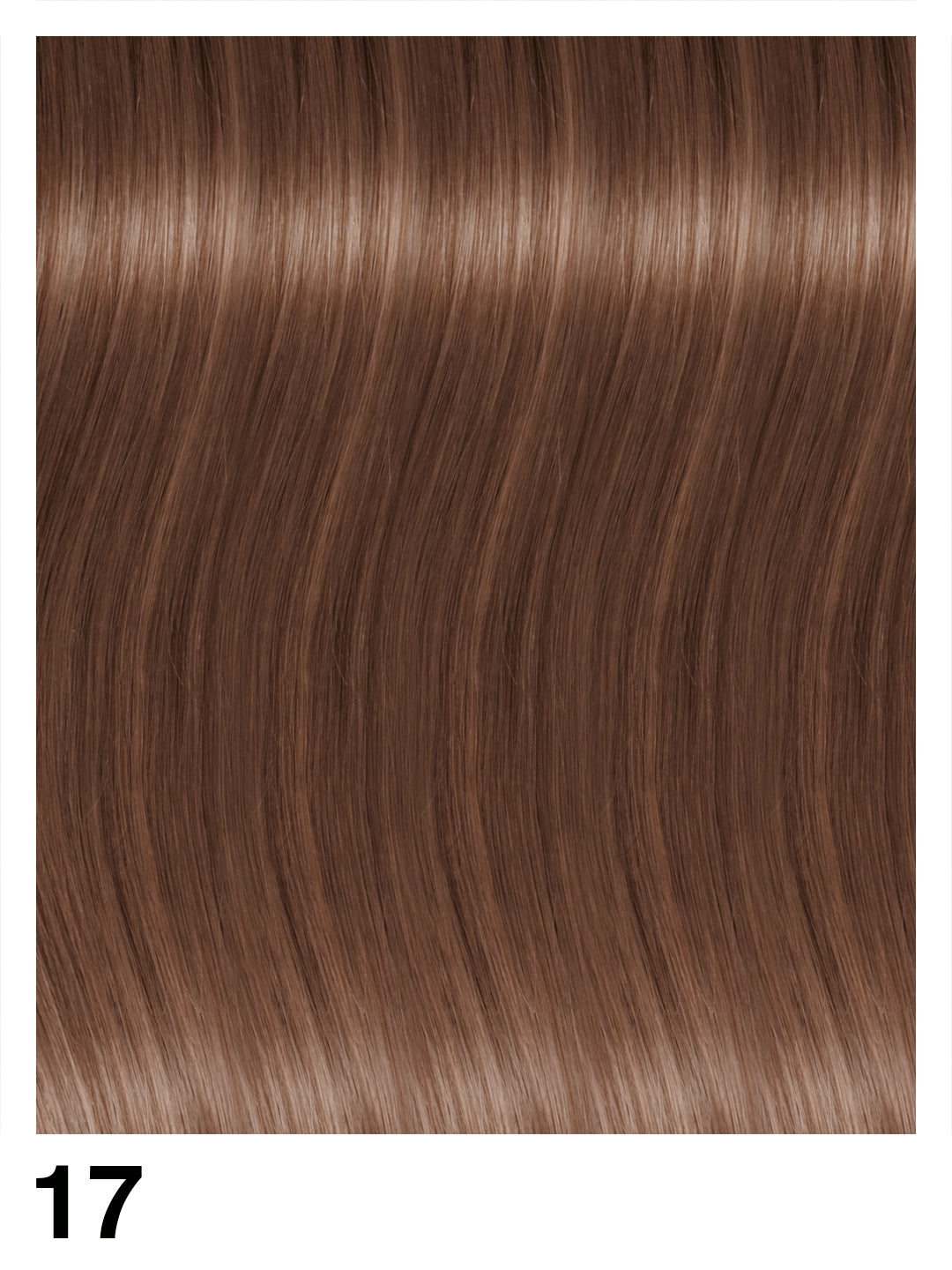 EXS8619N Extension con adesivo