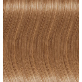 EXS8619N Extension con adesivo